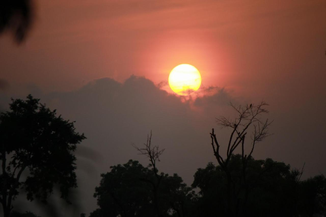 Vividearth Resorts Bandipur Exterior photo